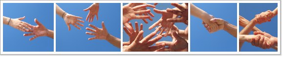 Fines y actividades